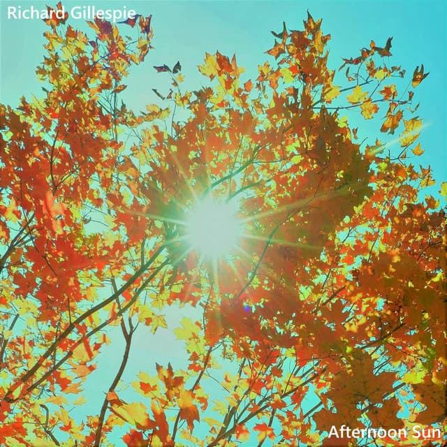Afternoon Sun — cover art